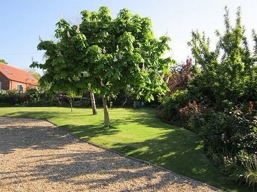 Pantiles B&B Cromer Luaran gambar